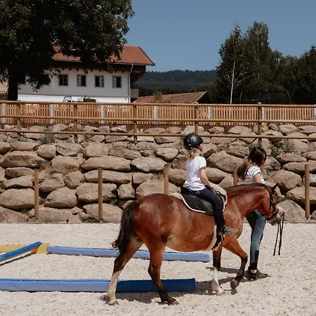 Ferienbauernhof Lieblhof 아파트 바트코에츠팅